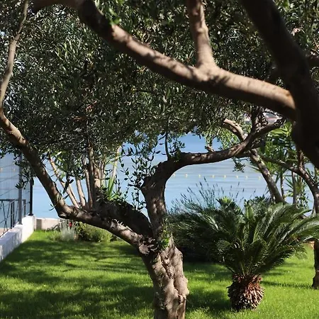 Apartman Miamar