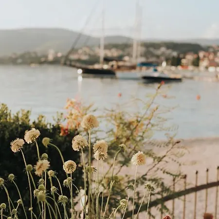 Apartmán Miamar *