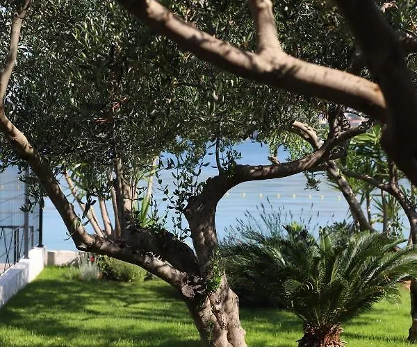 Apartment Miamar